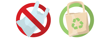 plastic ban waste plastic pyrolysis