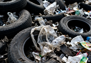 waste(1).png
